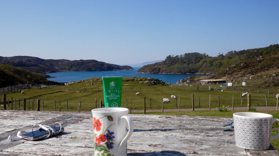 the view from the office